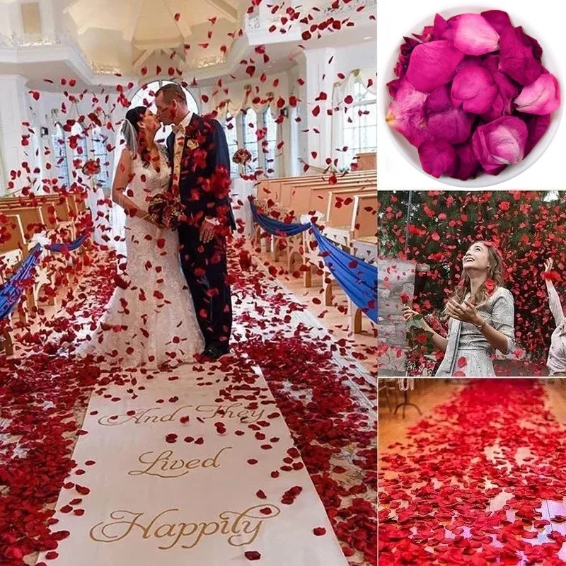 Natural Dried Rose Petals for  - огляд і ціна Candle Making Bath